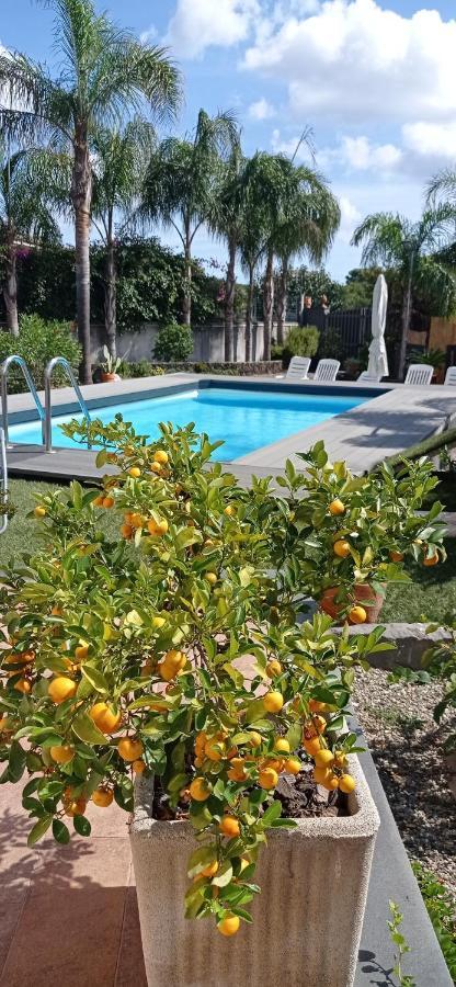 Le Stanze Dei Colori Hotel Aci Bonaccorsi ภายนอก รูปภาพ